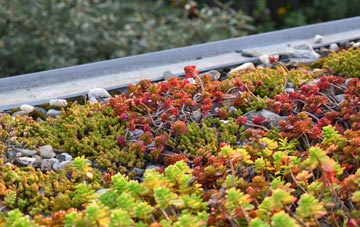 the cost of Church Oakley green roof installation